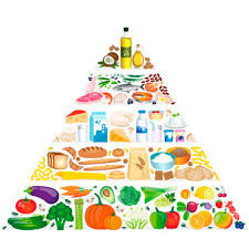 Grado Nutrición y Dietética